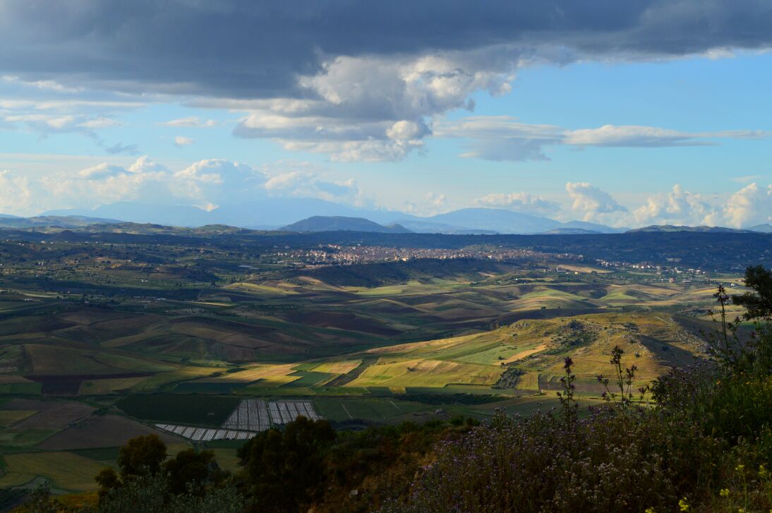 Barrafranca
