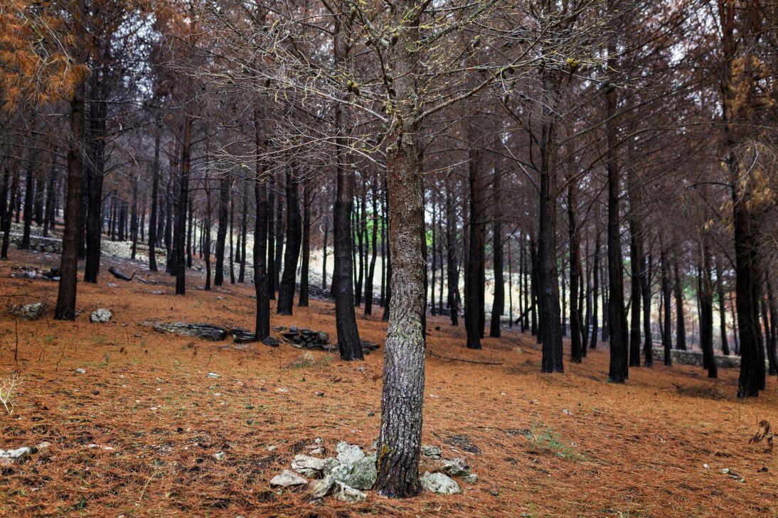 Chiaramonte Gulfi