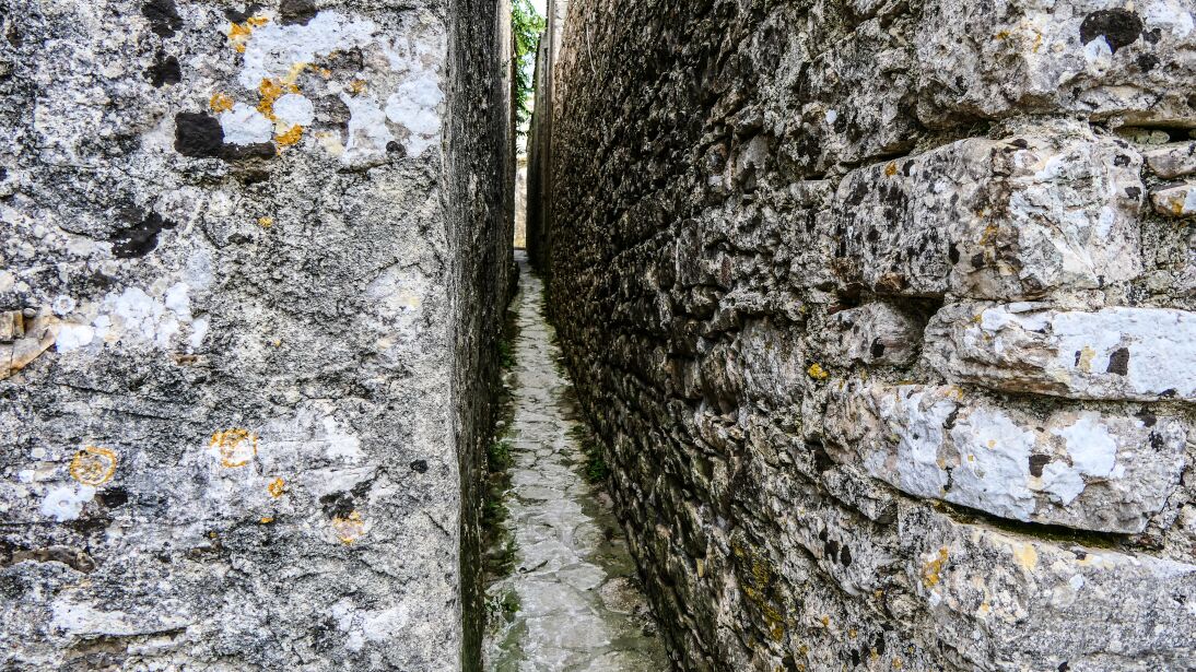 Erice