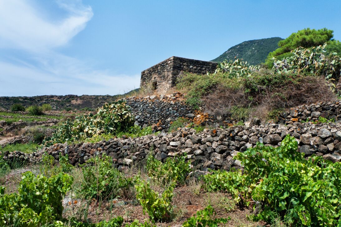 Pantelleria