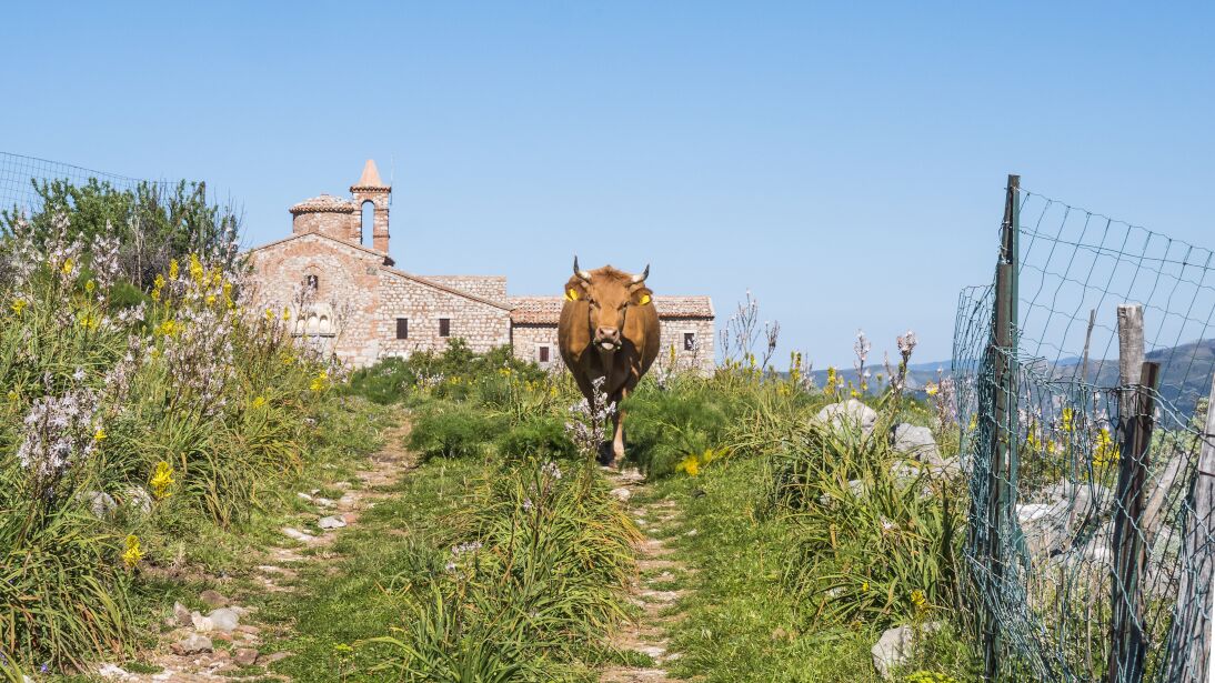San Fratello