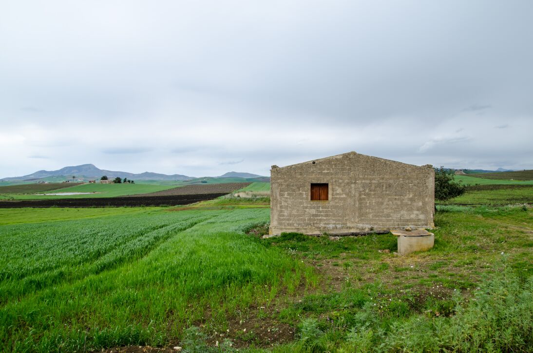 Santa Ninfa